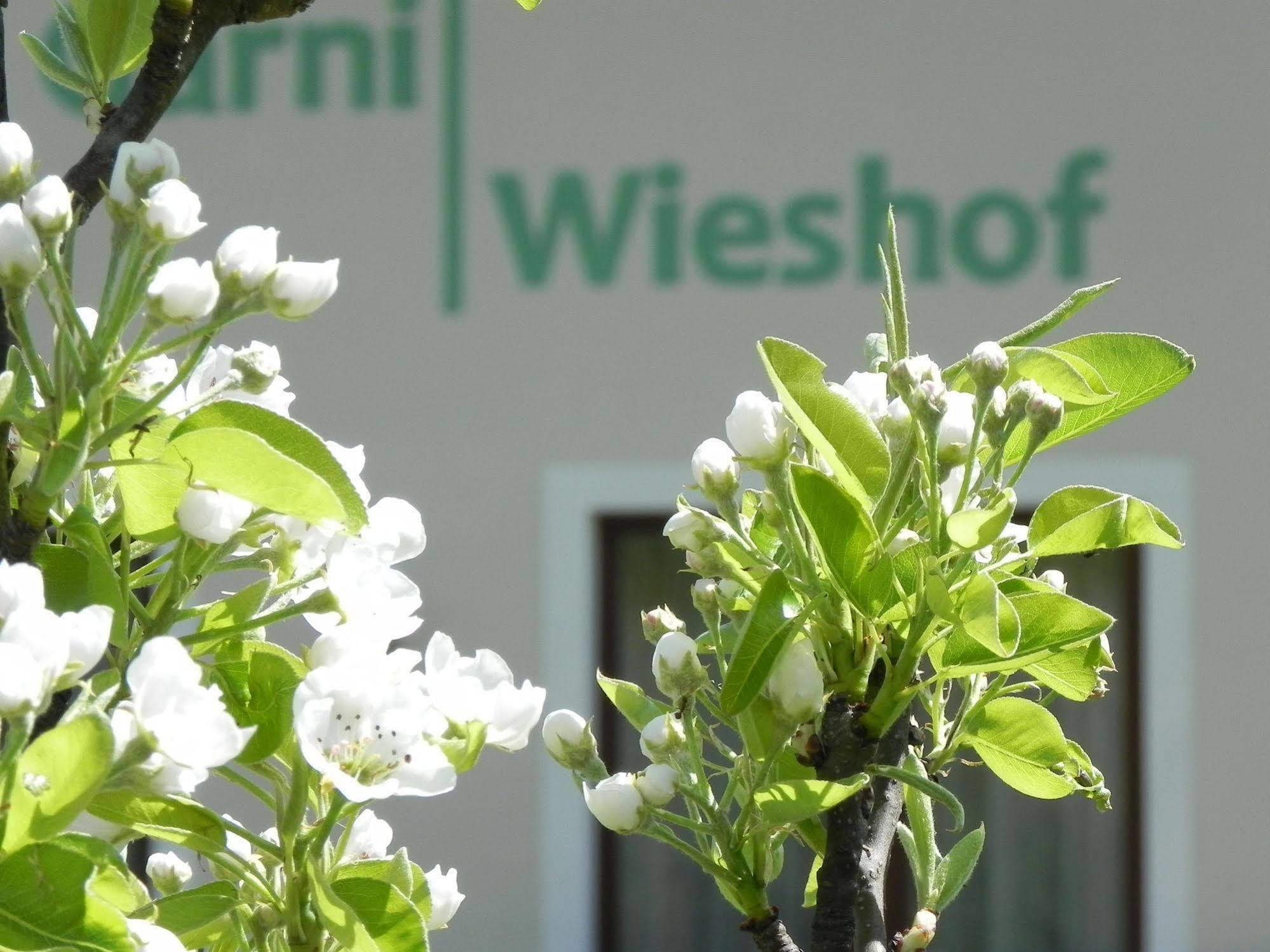 Hotel Garni Wieshof Rauris Exterior foto